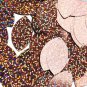 Leaf Navette Sequins Copper Glitter Hologram 1.5 inch Couture Paillettes