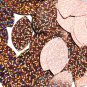 Leaf Navette Sequins Copper Glitter Hologram 1.5 inch Couture Paillettes