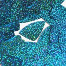 Aqua Blue Sequin Fishscale Fin Glitter Hologram 1.5 inch Large Couture Paillette