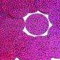 Fuchsia Pink Round Sequins Glitter Hologram 1.5" Large Couture Paillettes
