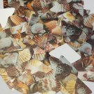 Long Diamond Sequin 1.75" Brown Pink White Seashell Print Opaque