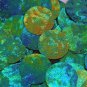 Round Sequin Starry Night Blue Green Swirl Texture 1.5 inch Couture Paillettes