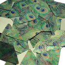 Long Diamond Sequin 1.75" Peacock Feather Eye Blue Green Gold Metallic
