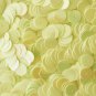 10mm Flat SEQUIN PAILLETTES ~ Opaque Light YELLOW RAINBOW IRIS ~ Made in USA.