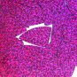 Fuchsia Pink Sequin Fishscale Fin Glitter Hologram 1.5 inch Couture Paillettes