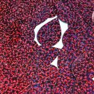 Berry Pink Red Sequin Teardrop Glitter Hologram 1.5 inch Large Couture Paillette