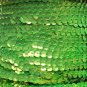 Lime Green Fluorescent 5mm cup Sequin Trim Flat Stitched Strung by the yard 15'
