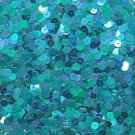 6mm Flat Loose Sequin Paillette Aqua Blue Metallic Iris Rainbow Made in USA