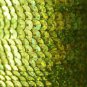SEQUIN STRING TRIM~  YELLOW LASER HOLOGRAM~ 6mm FLAT strung by yard  Made in USA