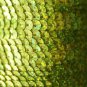 SEQUIN STRING TRIM~  YELLOW LASER HOLOGRAM~ 6mm FLAT strung by yard  Made in USA