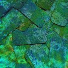 Blue Green Sequin Rectangle Van Gogh Starry Night 1.75 inch Couture Paillettes