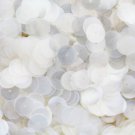 10mm Flat SEQUIN Loose PAILLETTE~ CRYSTAL Light LUSTER ~ Round Disc ~Made in USA