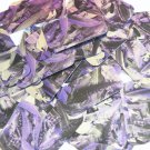 Sequin Rectangle 1.5" Purple Silver Bird Feathers Print Metallic