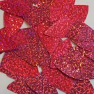 Fishscale Fin Sequin 1.5" Hot Pink Fluorescent Hologram Glitter Sparkle Metallic