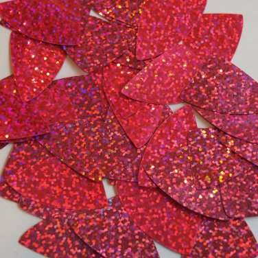 Fishscale Fin Sequin 1.5" Hot Pink Fluorescent Hologram Glitter Sparkle Metallic