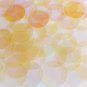 Sequin Round 30mm Yellow Transparent Crystal Rainbow Iris Iridescent Made in USA