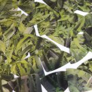 Sequin Fishscale Fin 1.5" Lime Green Silver Bird Feathers Print Metallic