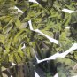 Sequin Fishscale Fin 1.5" Lime Green Silver Bird Feathers Print Metallic