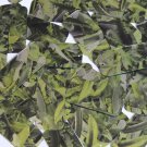 Sequin Rectangle 1.5" Lime Green Silver Bird Feathers Print Metallic