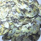 Sequin Oval 1.5" Yellow Silver Bird Feathers Print Metallic
