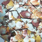 Long Diamond Sequin 1.75" Scallop Seashell Print Metallic