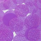 Round Flat Sequin 40mm Purple Transparent Hologram Glitter Sparkle