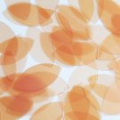 Navette Leaf Sequin 1.5" Peach Pink Transparent Glossy Matte Reversible Pailette