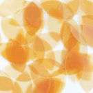 Navette Leaf Sequin 1.5" Amber Transparent Glossy and Matte Reversible Paillette