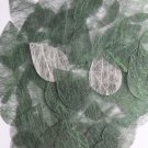 Teardrop Sequin 1.5" Green Silky Fiber Strand Fabric Loose Couture Paillettes