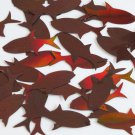 Fish Sequin 2 hole 1.5" Bronze Brown Lazersheen Reflective Metallic Paillettes