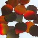 Wide Leaf Sequin 1.25" Bronze Brown Lazersheen Reflective Metallic Paillettes