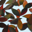 Vine Leaf Sequin 1.25" Bronze Brown Lazersheen Reflective Metallic Paillettes