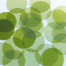 Round Sequin 40mm Green Apple Transparent Glossy and Matte Reversible Paillettes
