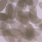 Oval Sequin 1.5" Taupe Beige Transparent Glossy and Matte Reversible Paillettes