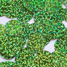 Round Flat Sequin 20mm Center Hole Lime Green Hologram Glitter Sparkle