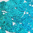 Large Hole Oval Sequin 1.25" Aqua Blue Hologram Glitter Sparkle Paillettes