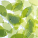 Navette Leaf Sequin 1.5" Green Apple Transparent Gloss Matte Reversible Pailett
