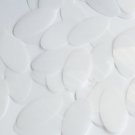 Oval Sequin 1.5" Milky White Transparent Glossy and Matte Reversible Paillettes