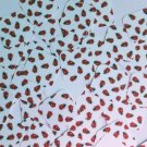 Square Diamond Sequin 1.5" Red Ladybugs Ladybirds on White Opaque Paillettes