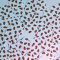 Square Diamond Sequin 1.5" Red Ladybugs Ladybirds on White Opaque Paillettes