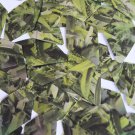 Sequin Long Diamond 1.75" Lime Green Silver Bird Feathers Print Metallic