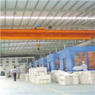 Electric Overhead Crane 25t