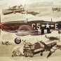 WW2 aviation art print of a P-51 D mustang