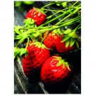 Strawberries Postcard Sent to You in the Mail Using a Pictorial GB Post and Go Stamp