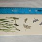 WWF Note Card Dragonflies & Cattails Reeds by Nikita Chisnikov