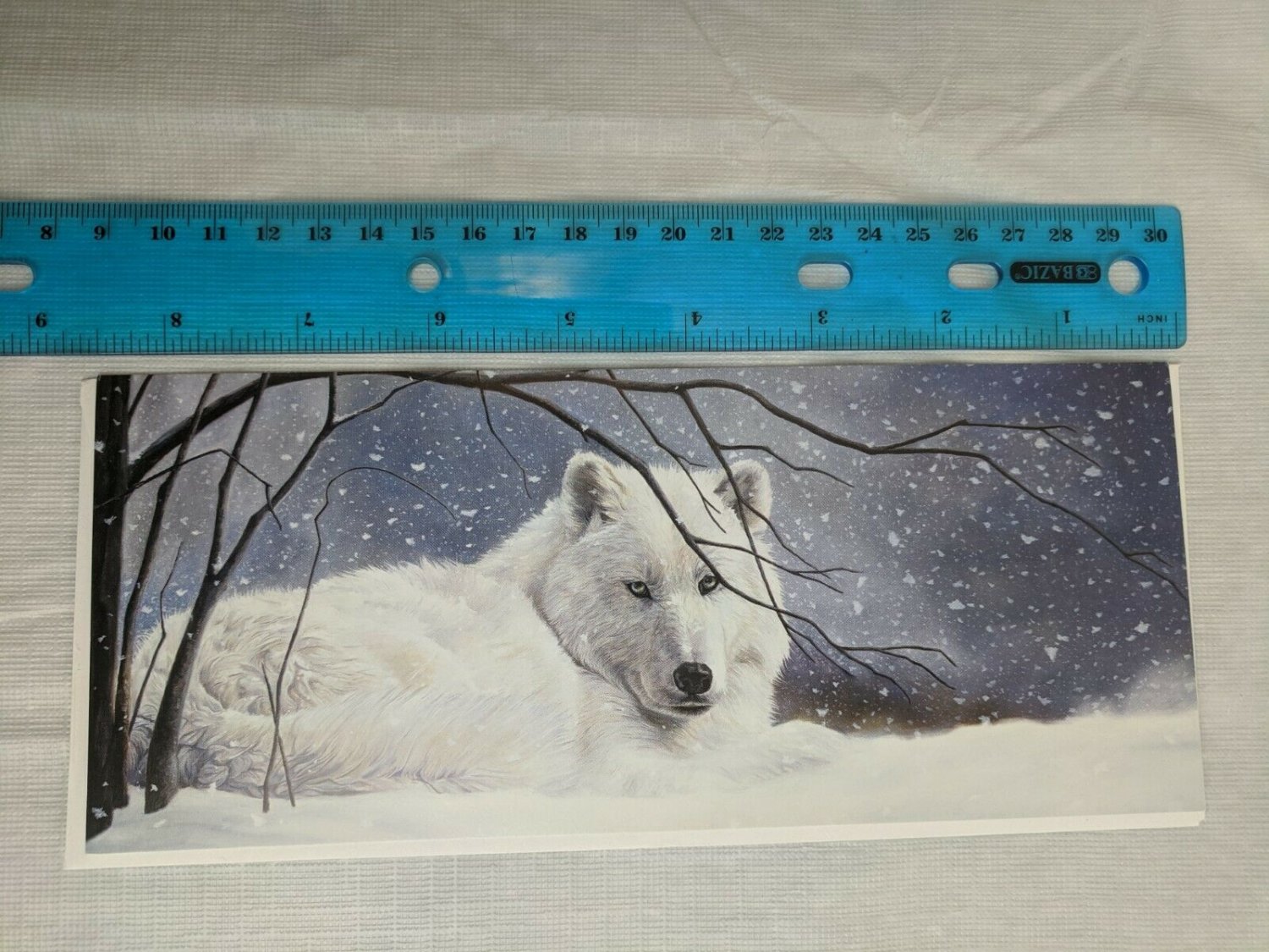 Blank Note Card - White Wolf in Snow by Lucie Bilodeau/AppleJack Art