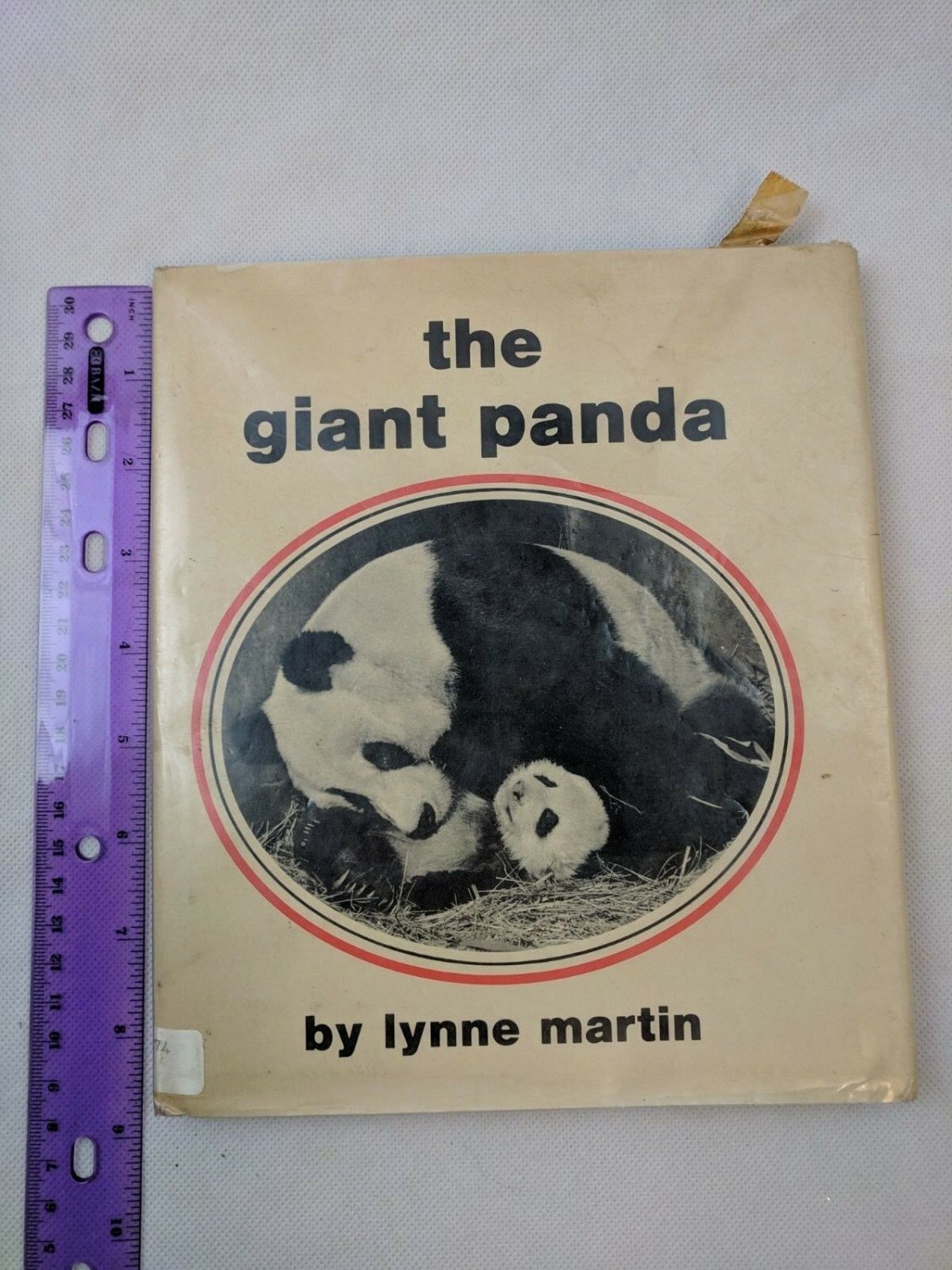 The Giant Panda by Lynne Martin Children's Hardcover Book ExLib