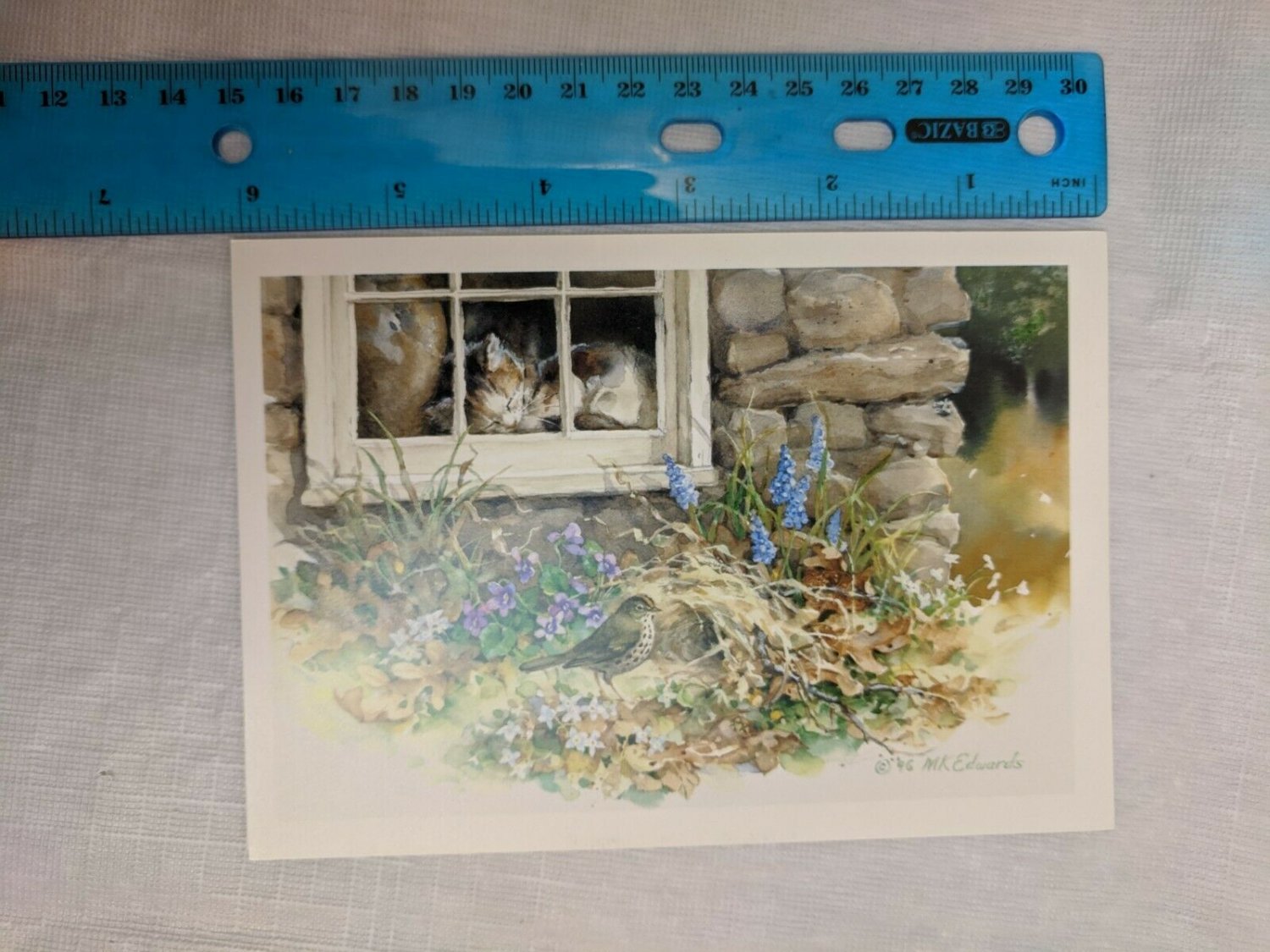 Blank Note Card Kitten Sleeping in  Window, Bird Outside by Martha Edwards