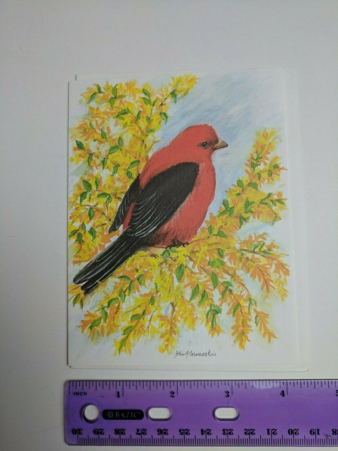 Paralyzed Veterans PVA John Cornacchio Blank Note Card Scarlet Tanager Bird