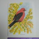 Paralyzed Veterans PVA John Cornacchio Blank Note Card Scarlet Tanager Bird